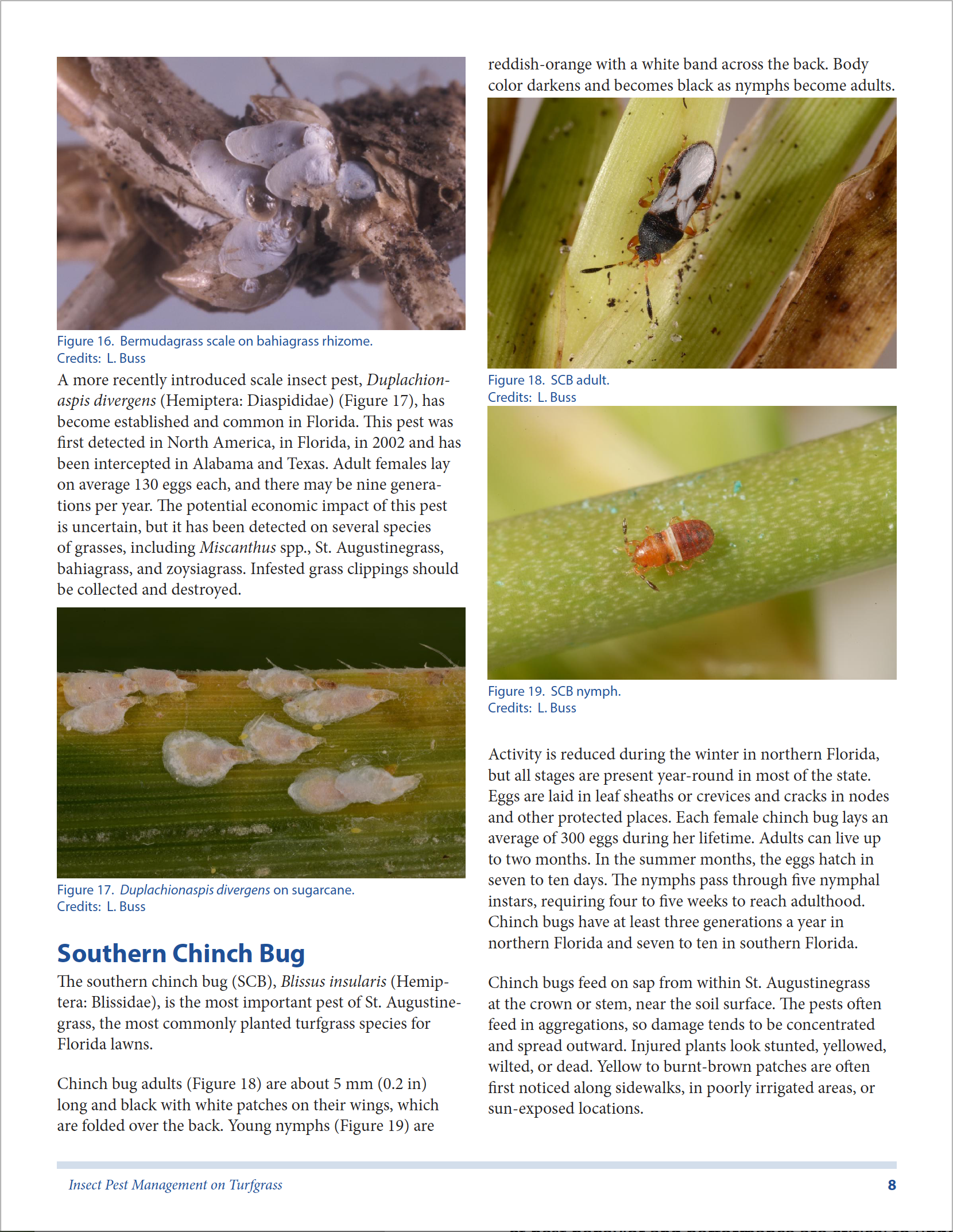 Screen Shot 2016-09-02 at 1.46.33 PM